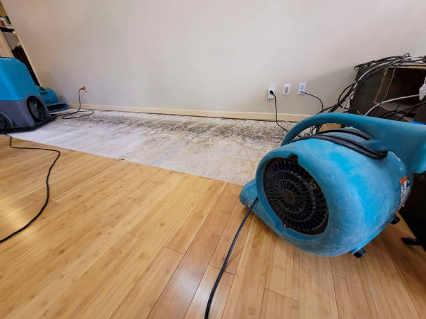 Professional Structural Drying technician working in New Franklin, MO